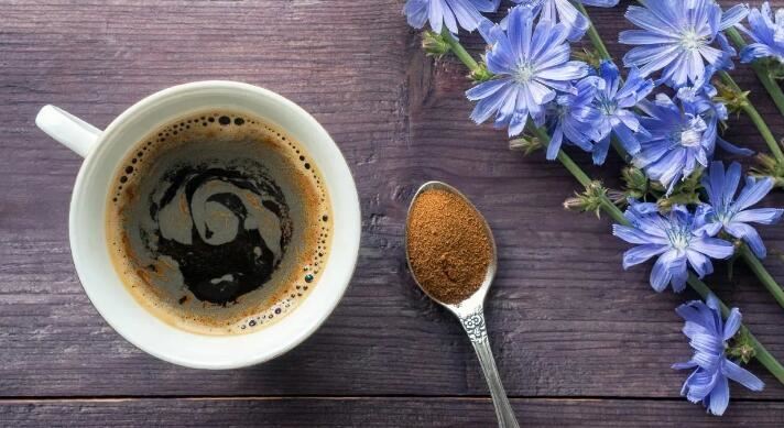 Is there inulin in chicory coffee Is there inulin in chicory coffee