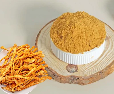 Cordyceps Militaris-ekstrakt bestått ID-testing: Hva kjøpere bør vite