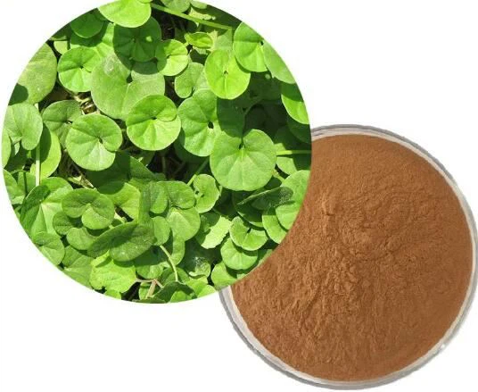 Centella Asiatica Blad Ekstrakt