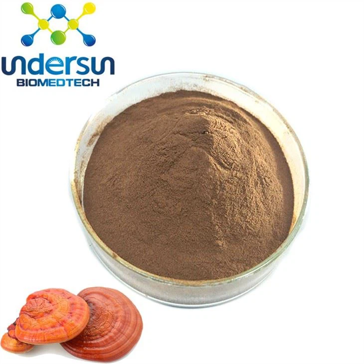 Reishi ekstrakt