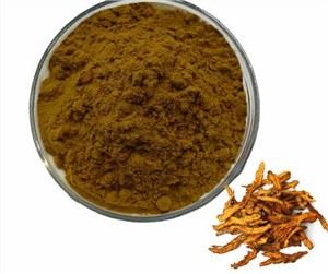 Coptis Chinensis Root Ekstrakt