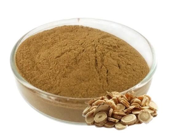 Astragalus rotpulver