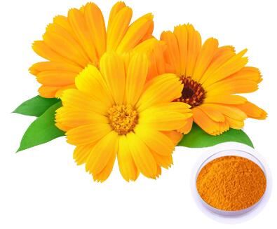 Calendula Powder