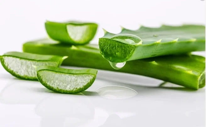 Aloe Vera Pulver vs Gel