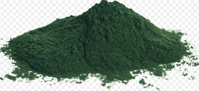 Hvordan ta chlorella pulver?
