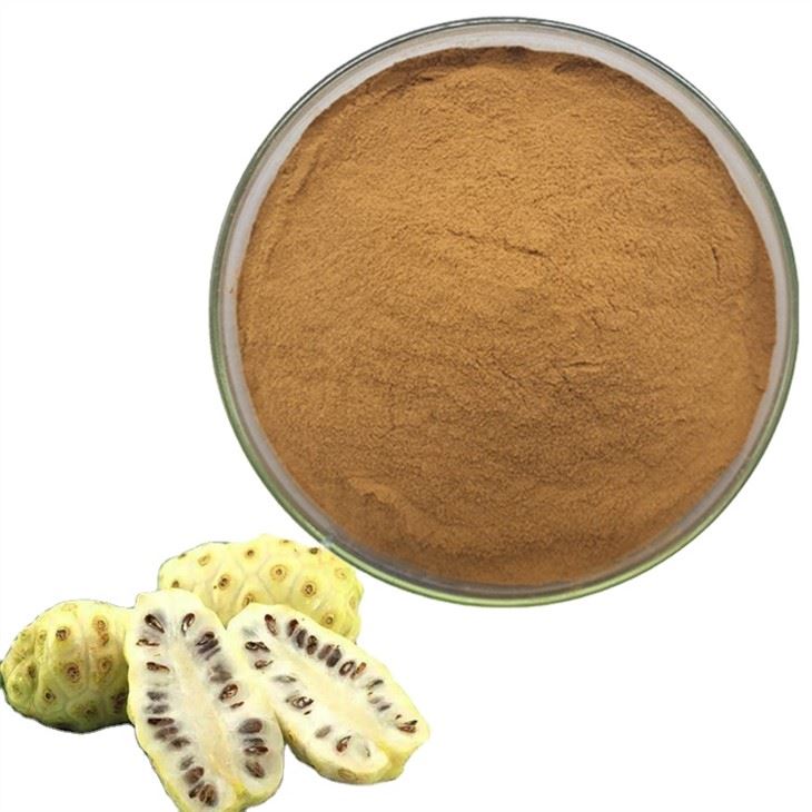 Noni Juice Pulver