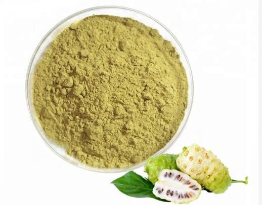Organisk Noni Pulver