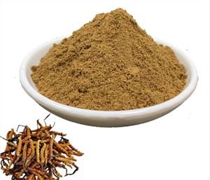 Cordyceps sopp ekstrakt