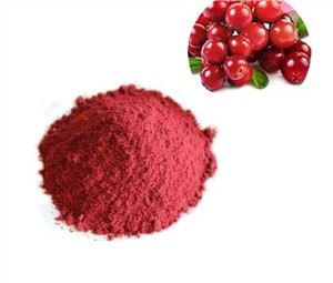 Cranberry Powder Bulk