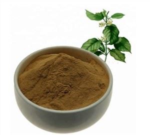 Gymnema Sylvestre Extract