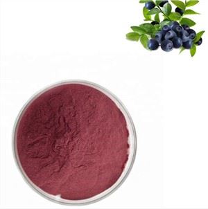 Økologisk frysetørket Acai-pulver