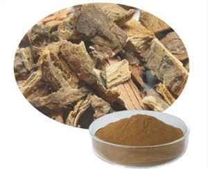 Slippery Elm Bark Powder