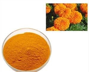 Zeaxanthin pulver