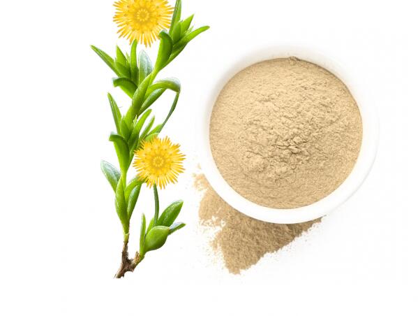 Sceletium Tortuosum Kanna-pulver