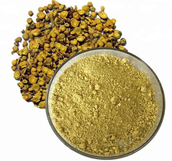 Scutellaria rotekstrakt