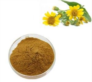 Arnica Extract Bulk