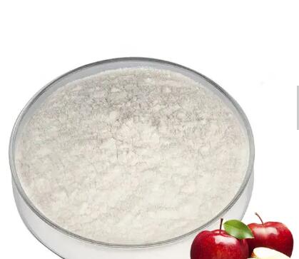 Eple Cider Pulver Bulk